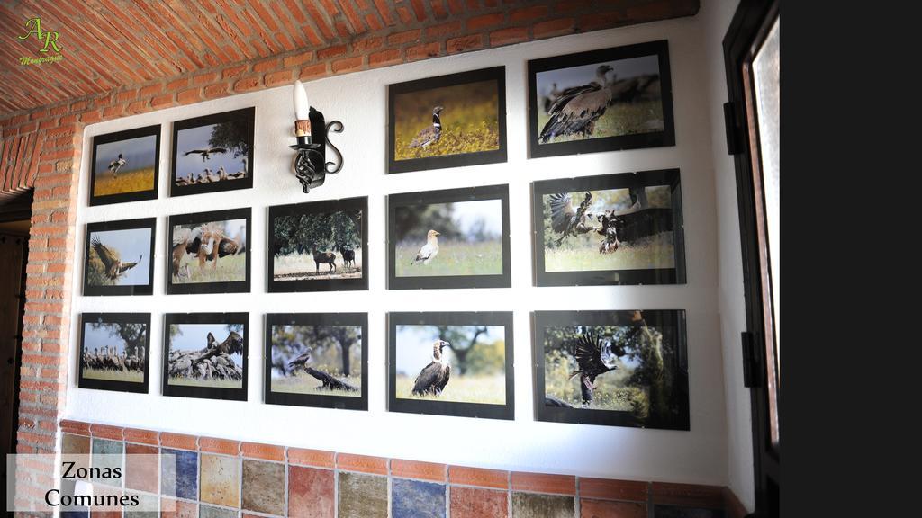 Apartamentos Rurales Monfraguee Torrejón el Rubio Exterior foto
